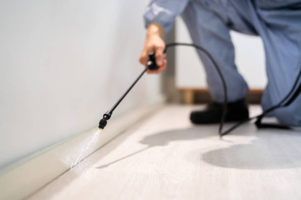 Bed Bug Pre-Treatment Preparation Assessment in Waggaman