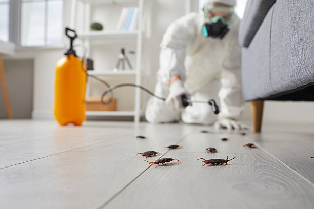 Post-Treatment Bed Bug Interceptor Monitoring in Waggaman