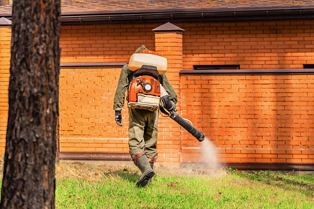 Bed Bug Clearance Verification and Documentation in Waggaman